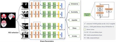 Brain morphometric features predict depression symptom phenotypes in late-life depression using a deep learning model